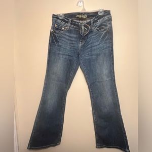 Women’s American Eagle AE Artist Jeans